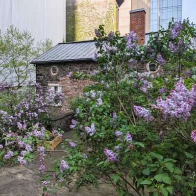 Spring 2