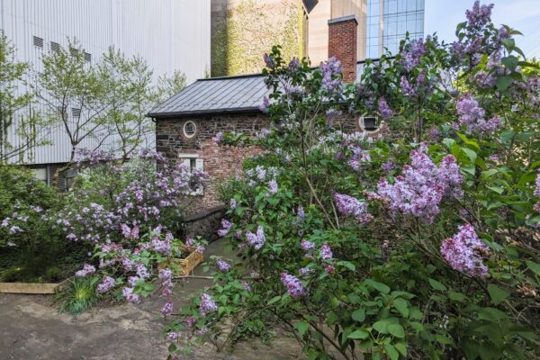 Spring 2